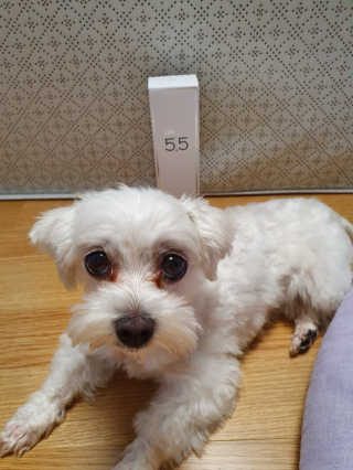 포므시 스노우화이트클렌징폼pH5.5 — 5점을 준 리뷰어가 2019년 8월 올린 사용 사진