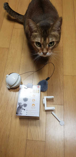 반짝님이 올린 리뷰 사진 1