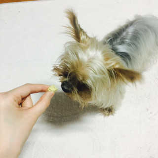 안다님이 올린 리뷰 사진 2