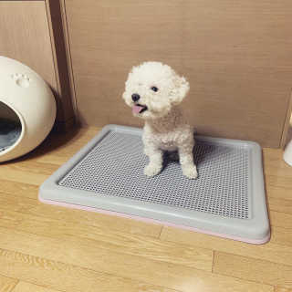 소유님이 올린 리뷰 사진 1