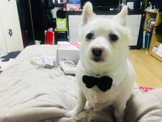 빼꼬미누나님이 올린 리뷰 사진 1