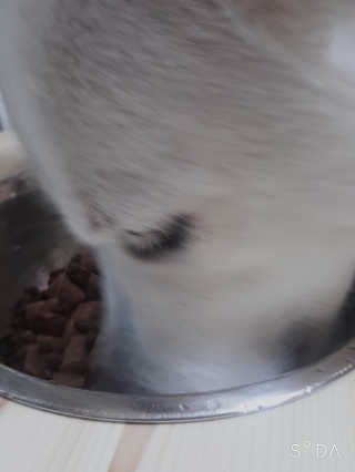 딸랑구둘🥰님이 올린 리뷰 사진 3