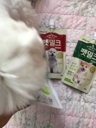 [빙그레] 에버그로 생유산균 1봉（10포입）+펫밀크2팩 — 4.5점을 준 리뷰어가 2019년 5월 올린 사용 사진