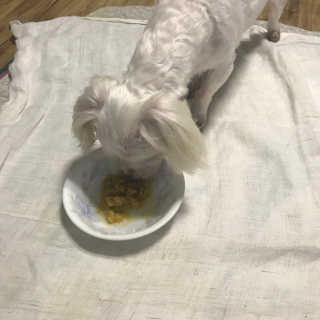 러블리햄토리님이 올린 리뷰 사진 1