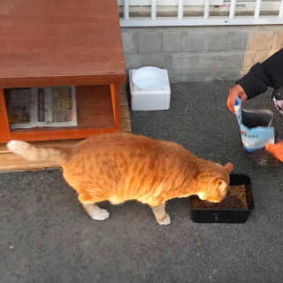 랑이맘님이 올린 리뷰 사진 3