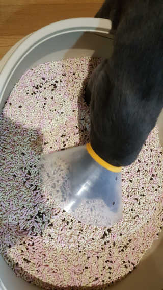 파랑새님이 올린 리뷰 사진 3