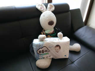 보솜이 리얼코튼 팬티형 — 3점을 준 리뷰어가 2019년 3월 올린 사용 사진