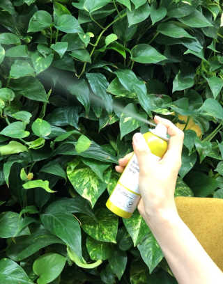 달리프 클로렐라 베러 루트 쿨링 스프레이 100ml — 4점을 준 리뷰어가 2018년 12월 올린 사용 사진