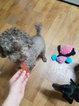 이예림님이 올린 리뷰 사진 3