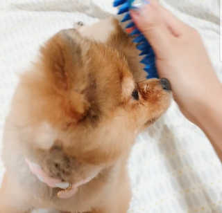 은선이짱님이 올린 리뷰 사진 4