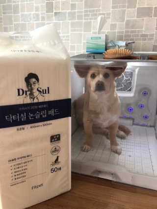 모찌님이 올린 리뷰 사진 1