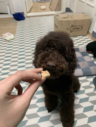 짱예님이 올린 리뷰 사진 3