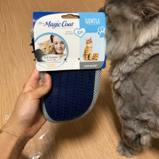 Four paws 리뉴얼 포포즈 매직코트 털 제거 브러쉬 — 5점을 준 리뷰어가 2018년 8월 올린 사용 사진