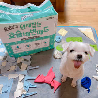 페츠모아 냄새잡는 요술배변패드 — 4점을 준 리뷰어가 2020년 3월 올린 사용 사진