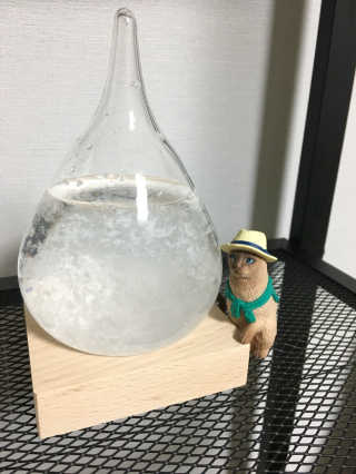 박결이님이 올린 리뷰 사진 2