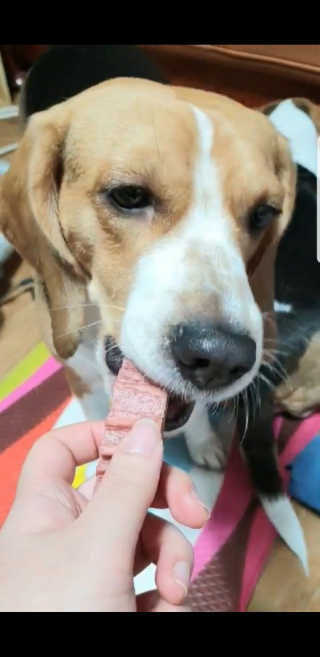 beaglelove님이 올린 리뷰 사진 4