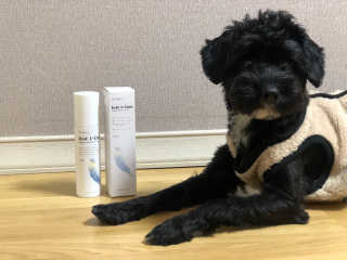 유짱님이 올린 리뷰 사진 2