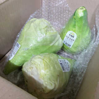 야니님이 올린 리뷰 사진 1