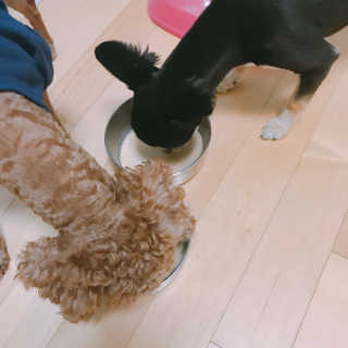ye0229님이 올린 리뷰 사진 2