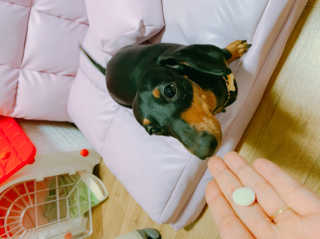 twotkdgml님이 올린 리뷰 사진 1