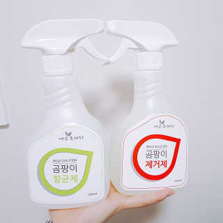 TwinkleJ님이 올린 리뷰 사진 1