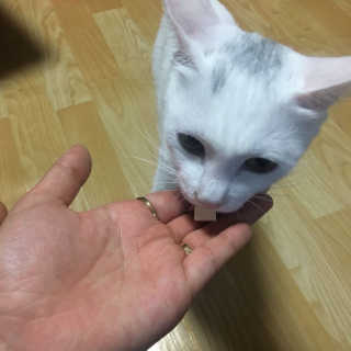 디헹님이 올린 리뷰 사진 3