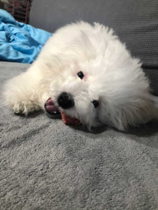 kmakmsss님이 올린 리뷰 사진 2