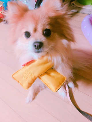 정민혜님이 올린 리뷰 사진 1