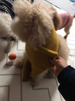 모모맘님이 올린 리뷰 사진 4