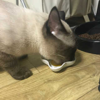 annie님이 올린 리뷰 사진 2