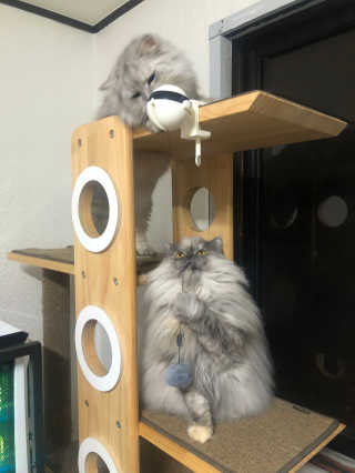 mushroombyjj님이 올린 리뷰 사진 2