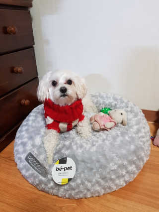 세훈찡님이 올린 리뷰 사진 1