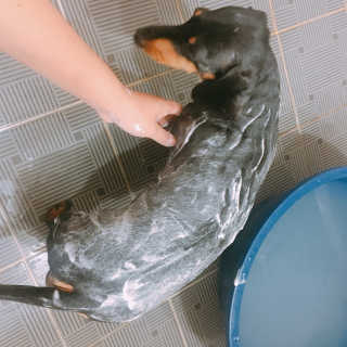 twotkdgml님이 올린 리뷰 사진 3