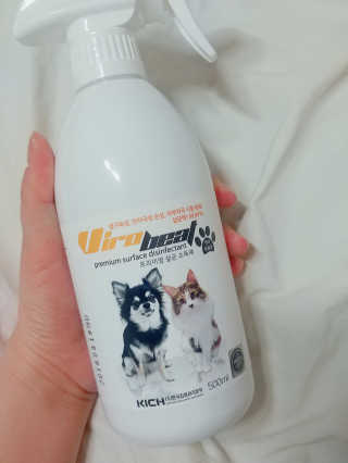 지콩님이 올린 리뷰 사진 2