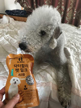 하루콩콩님이 올린 리뷰 사진 2