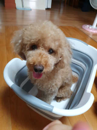 songyn님이 올린 리뷰 사진 1