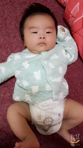 보솜이 액션핏 팬티형 — 5점을 준 리뷰어가 2019년 3월 올린 사용 사진