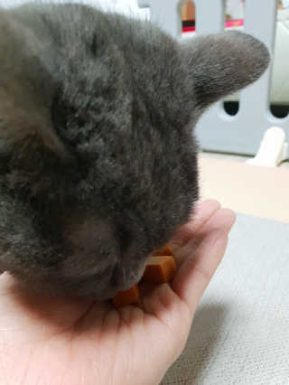 쯀맘님이 올린 리뷰 사진 3