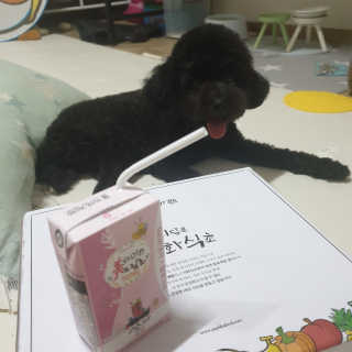 이화식초 미담은 이화 드림초 허니 — 5점을 준 리뷰어가 2019년 8월 올린 사용 사진