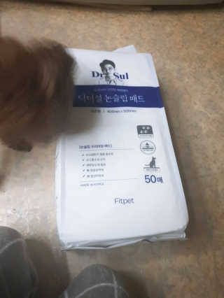 꾹꾹이님이 올린 리뷰 사진 1