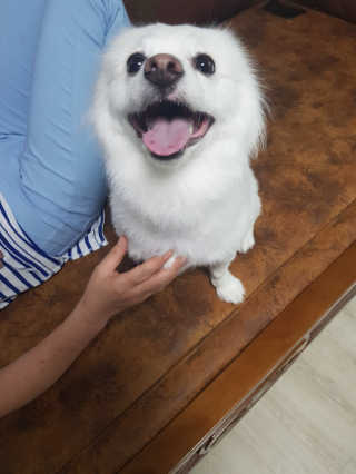 소라빵님이 올린 리뷰 사진 4