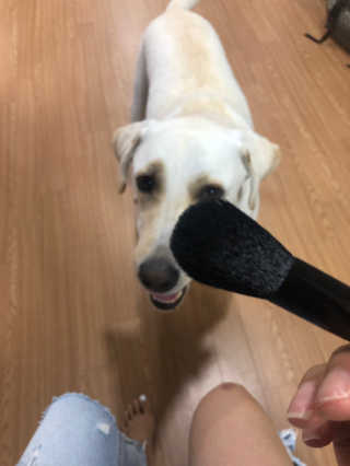 정봐기린님이 올린 리뷰 사진 1
