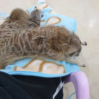 때잉님이 올린 리뷰 사진 3