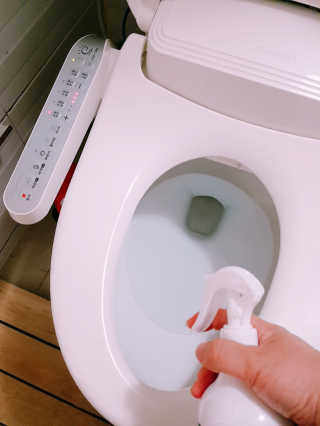 셀로몬 토일렛 스프레이 500ml — 5점을 준 리뷰어가 2018년 5월 올린 사용 사진