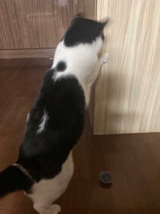 데이바이미님이 올린 리뷰 사진 2