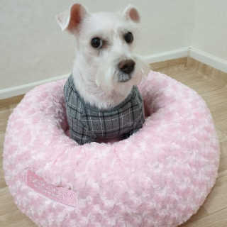 곰같은여우님이 올린 리뷰 사진 2