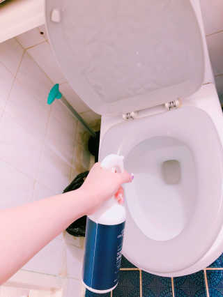 셀로몬 토일렛 스프레이 500ml — 3.5점을 준 리뷰어가 2018년 5월 올린 사용 사진