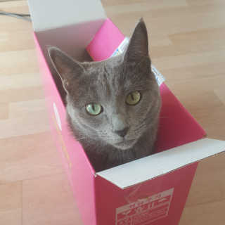 여온님이 올린 리뷰 사진 3