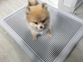 한서윤님이 올린 리뷰 사진 1