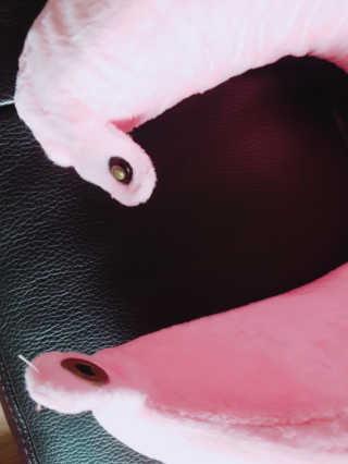 쑥이님이 올린 리뷰 사진 1